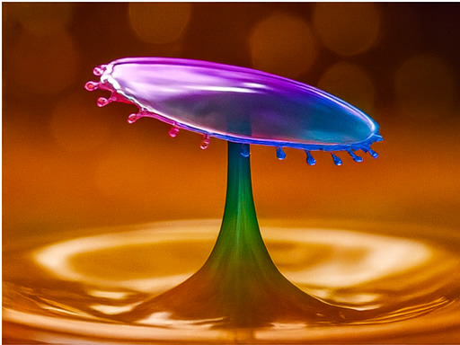 상상을 초월한 탐험 세계